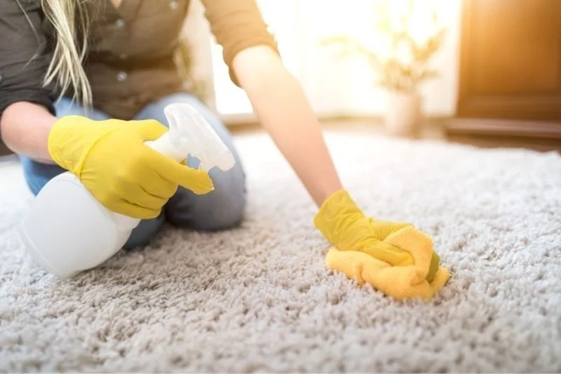 Halı Yıkama